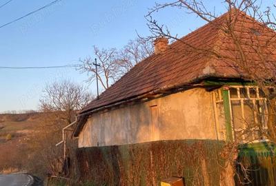 Casă cu 2 camere cu Teren 8 Mp în Silivașu de Câmpie - 10