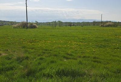 Teren de 550 mp, în Ștrand - 5