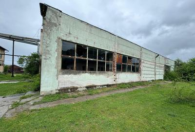 Oportunitate investitie - Covasna 21000mp intravilan - 13