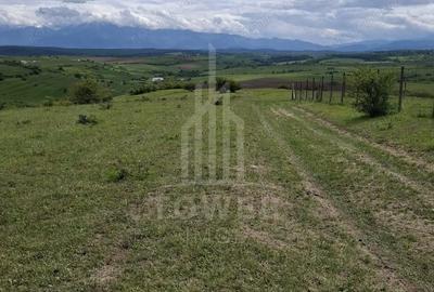 Teren de 11500 mp, în Daia - 8