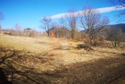 Teren Construcții intravilan de 1800 mp, în Alexandru cel Bun