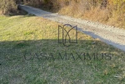 Teren Construcții extravilan de 972 mp, în Rășinari - 2
