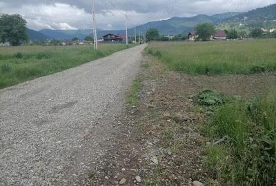 Teren 3000 mp intravilan Viisoara - 2