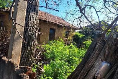 Cota de 1/2 din casa si teren- sat Poroini?a, Comuna Rogova, Jud Mehedinti; - 5