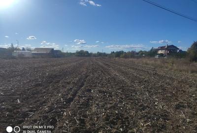 Snagov Ghermănești 4000 Mp Teren de vânzare L3 S+P+1E+M LIDL Ieșirea Spre A3 - 7