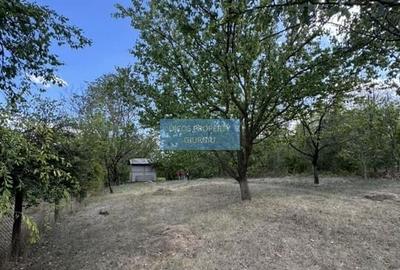 DE VANZARE Teren intravilan Comuna Daia,Jud Giurgiu - 4