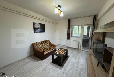 Apartament cu 2 camere decomandat în Brazda lui Novac - 2