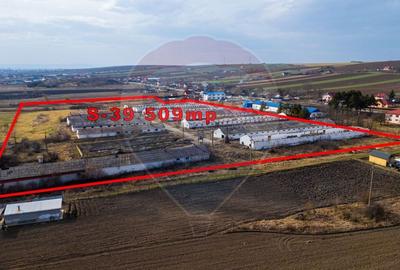 Teren Construcții intravilan de 39600 mp, în Traian - 1