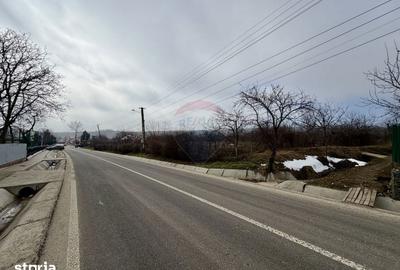 Casă cu 4 camere cu Teren 7727 Mp în Cârligele - 16