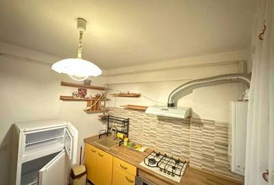 Garsonieră decomandată în Bucium - 8