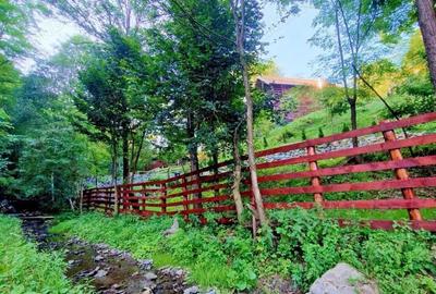 Vand Cabana cu ciubar (Fenes jud Alba) - 6