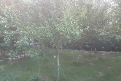 Casă cu 7 camere cu Teren 284 Mp în Nicolae Grigorescu - 1