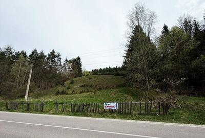 Teren de 10290 mp, în Șinca - 2
