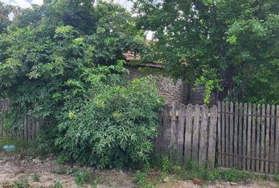 Casa si teren, loc Dragalina, Jud. Calarasi-03.03 - 2