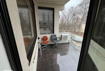 Spațiu comercial, de 400 mp, în Tei - 16