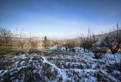 Casă cu 5 camere cu Teren 4000 Mp în Central - 3