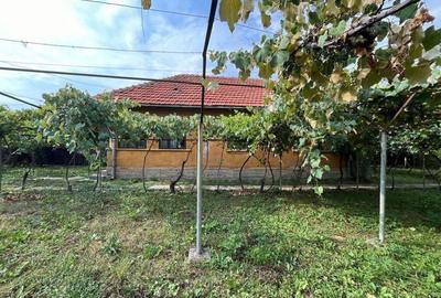 Casă cu 4 camere în Stolojani - 2