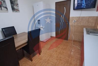 Apartament cu 2 camere semidecomandat, mobilat în Craiovița Nouă - 6