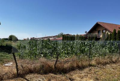 Teren extravilan de vanzare, 1267 mp, zona Draexlmaier - 2