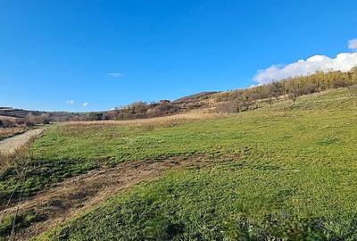 Teren intravilan\constructii \Sura Mare \ Sibiu - 7