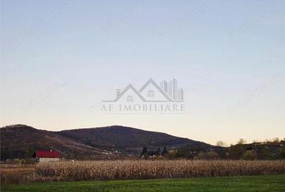 Teren de 3250 mp, în Tomești