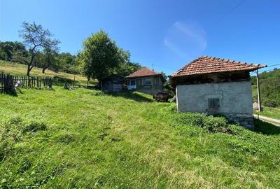 RECO Casa cu teren in Damis zona Valea Bratcutei - 8