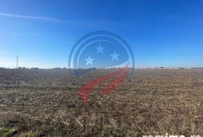 Teren de 5000 mp, în Ghercești - 3