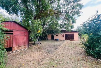 Casa Spatioasa cu teren Generos de 3416 mp in Tautii Magheraus - 8