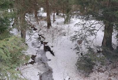 Casă cu Teren 2000 Mp în Dealu Negru - 9