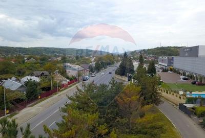 Birou, de 644.92999267578 mp, în Calea Moinești - 3