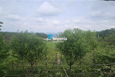 Casa deosebita in mijlocul naturii, cu teren generos si priveliste panoramica Casa deosebita in mijlocul naturii, cu teren generos si priveliste panoramica - 3