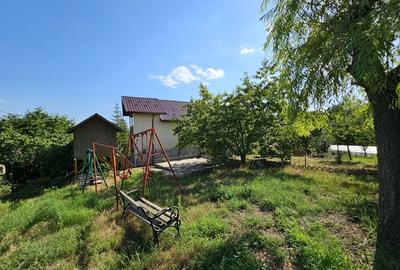 Vila superba de vanzare in Vintila Voda, Buzau D+P+1 si anexe - 46
