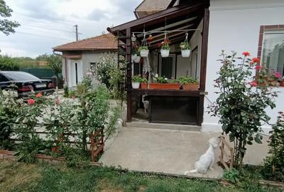 Casă cu 4 camere în Braniștea - 11
