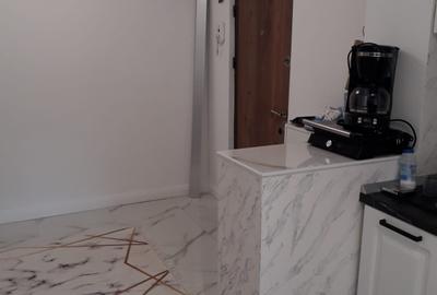 POARTA 6 APARTAMENT 2 CAMERE RENOVAT IN TOTALITATE SEMIMOBILAT PRET 80.000 EURO - 10