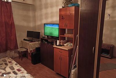 Garsonieră nedecomandată în Vasile Aaron - 2