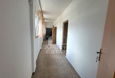 Casa individuala cu 3 camere,renovata in totalitate,Sag - 9