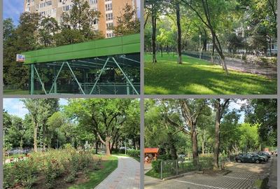 Drumul Taberei, Favorit - 6