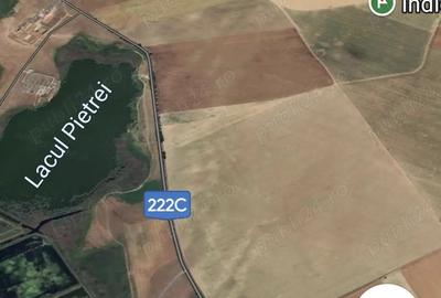 Teren de 30000 mp, în Murighiol - 4