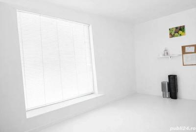 Spațiu comercial, de 260 mp, în Ștefan cel Mare