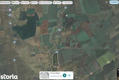 Teren de 14320 mp, în Măgura - 1