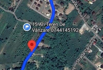 Teren 15 ari cu verdeata si panorama superba Str Paltinului Bistrita - 6
