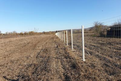 Teren de 8071 mp, în Lipănești - 8