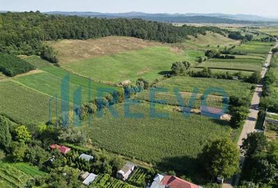 Teren de 3500 mp, în Bogdănești - 2