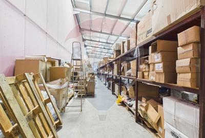 Spațiu industrial, de 472.66000366211 mp, în Theodor Pallady - 19