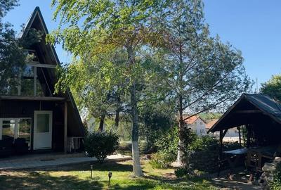 Casă individuală cu 4 camere cu Teren 959 Mp în Lăzăreni - 6