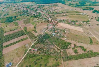 De vanzare Teren 3995mp intravilan Saldabagiu de Munte - 8