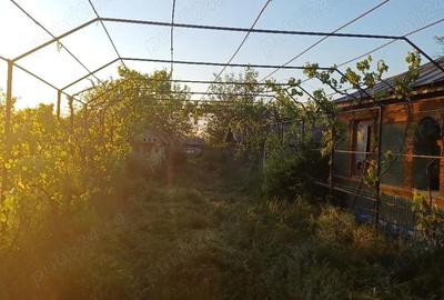 Casă cu Teren 3618 Mp în Smârdan - 2