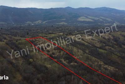 Teren de 14328 mp, în Nucșoara - 9