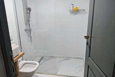 Apartament cu 3 camere decomandat în Ultracentral - 7