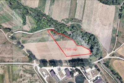 Teren extravilan arabil, 7500mp, Mohu-Bungard - 3